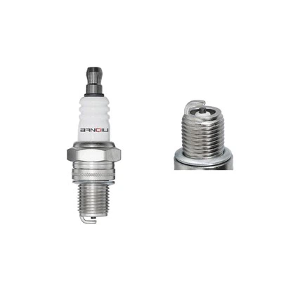 PLUG BLUCK NICKEL CMR7H 3066