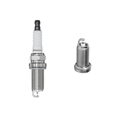 Busi Iridium Platinum ILFR6B 6481